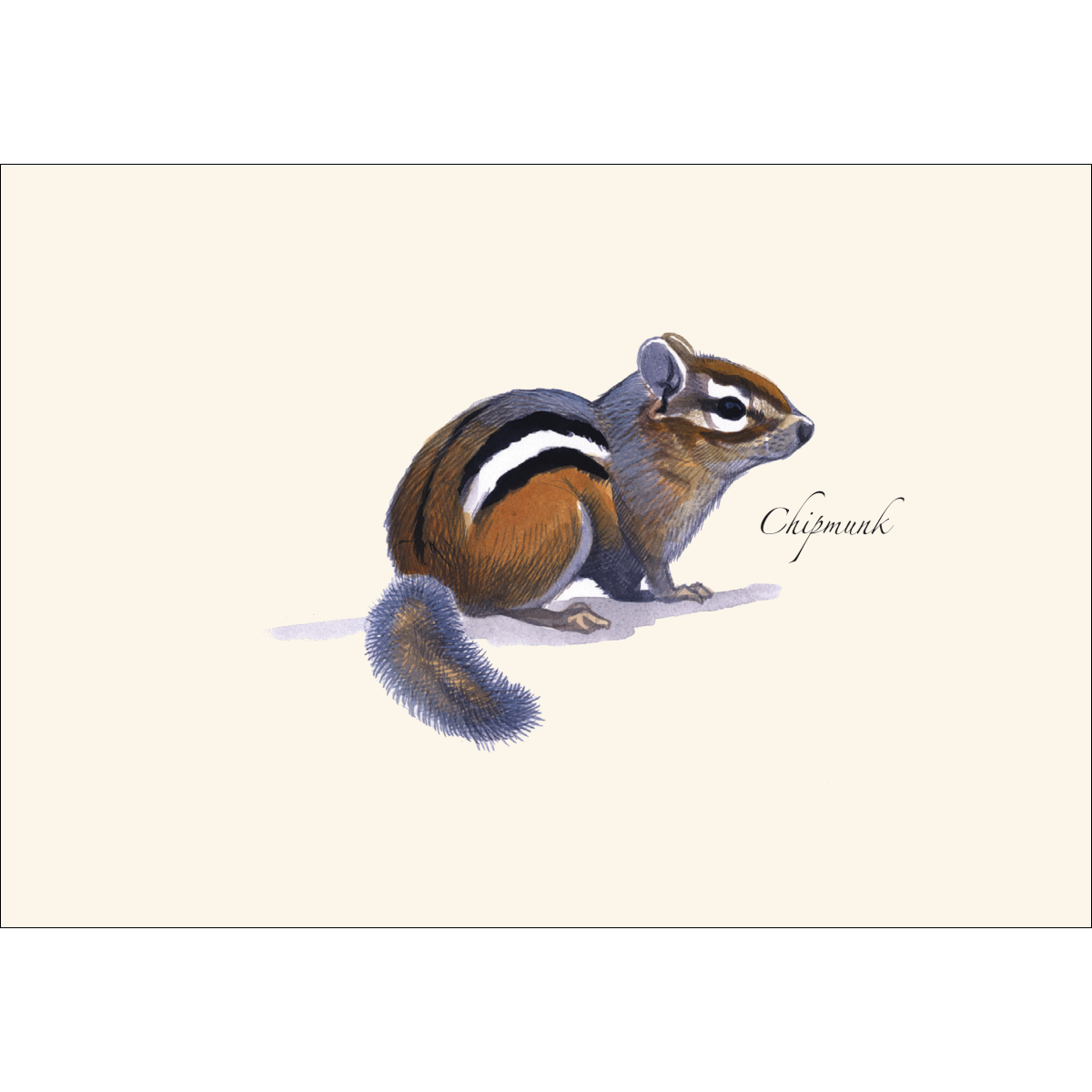 Chipmunk Notecard Set