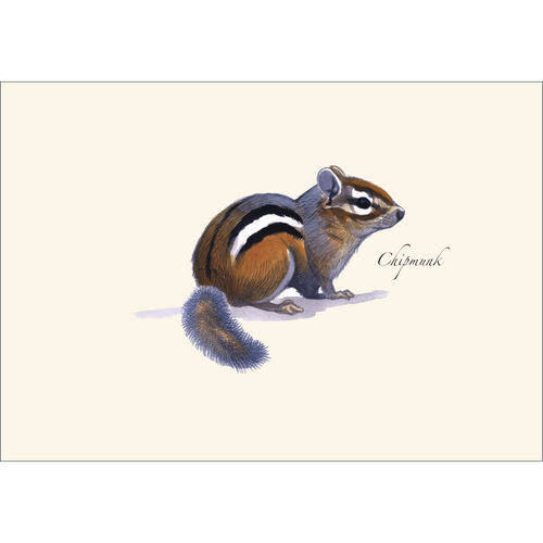 Chipmunk Notecard Set