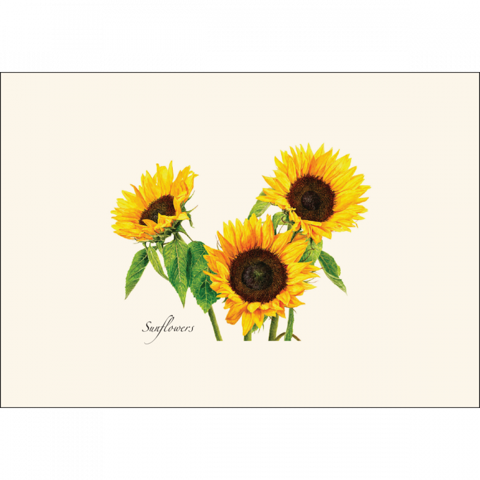 3 Sunflowers Notecard Set