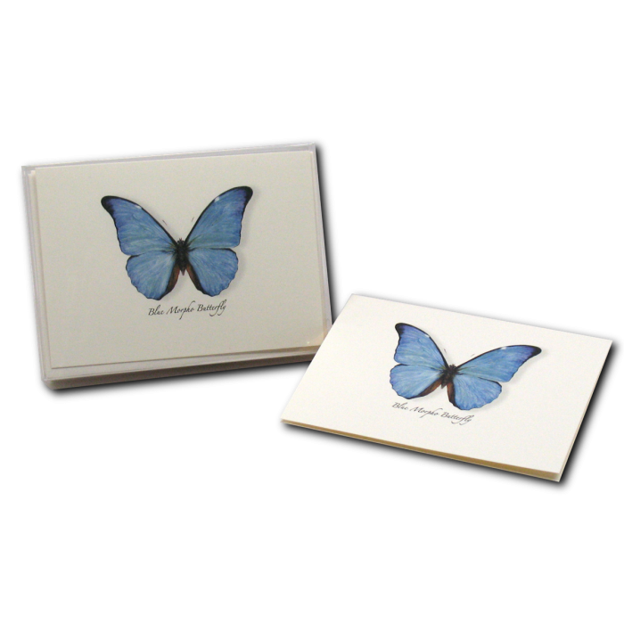 Blue Morpho Butterfly