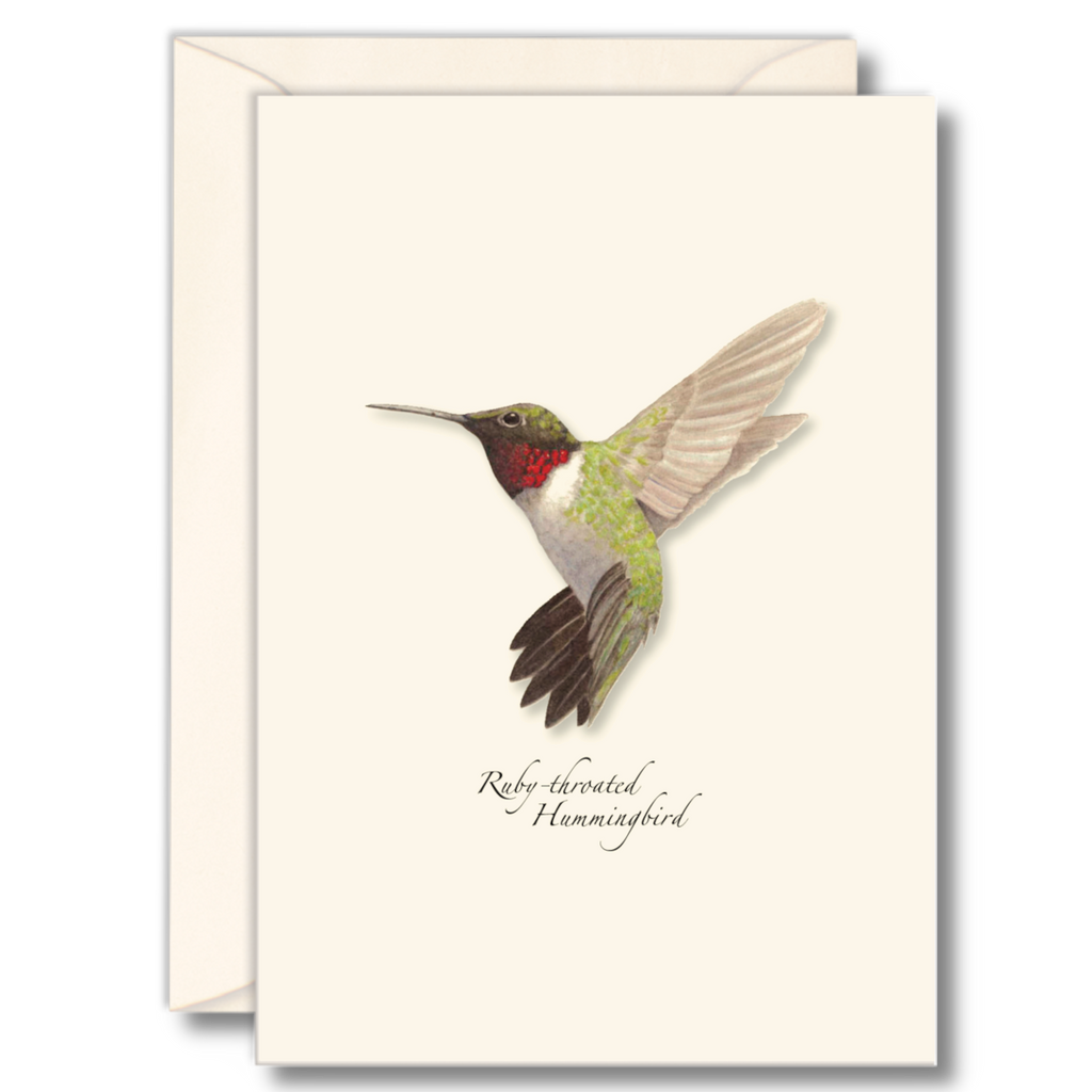 Ruby-throated Hummingbird