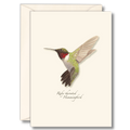 Ruby-throated Hummingbird