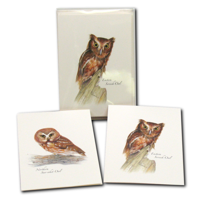 Owl Assortment II