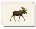 Moose Notecard Set, Recycled Paper, 8 Cards