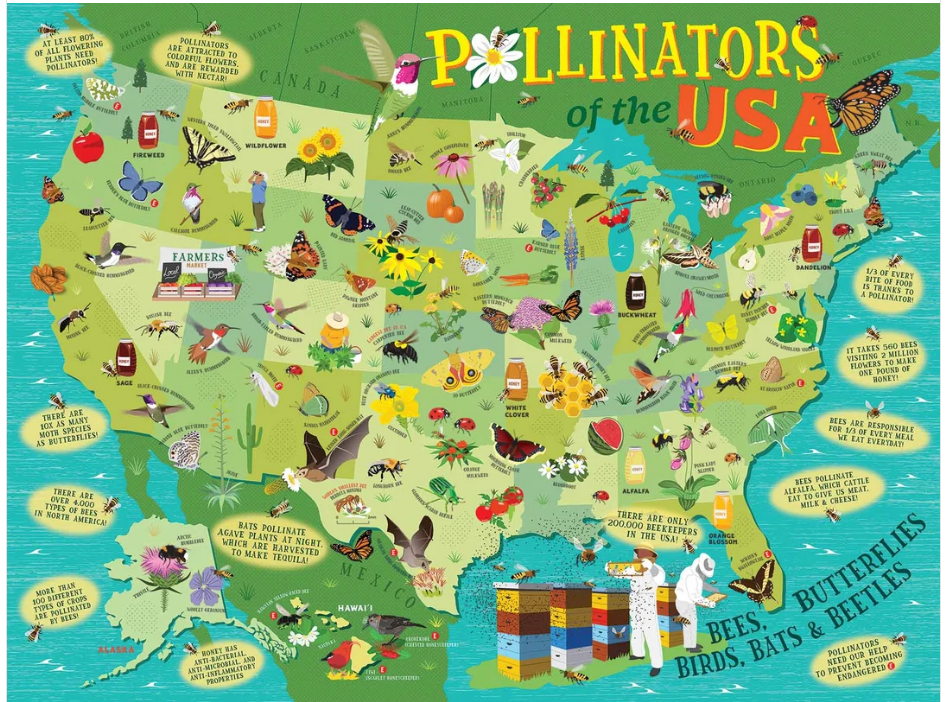 Puzzle Pollinators Of The US