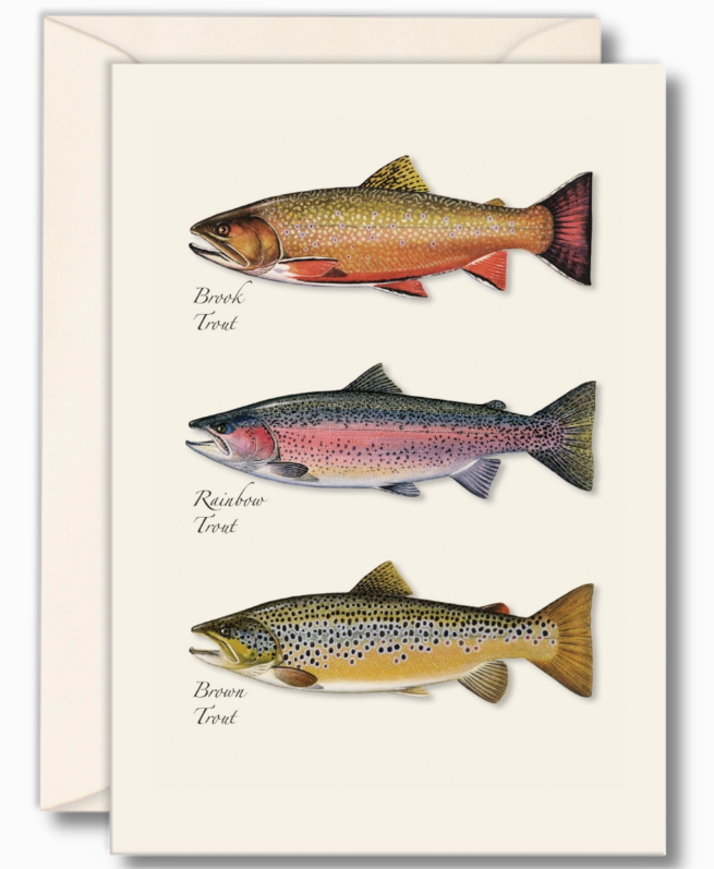 Trout Trio