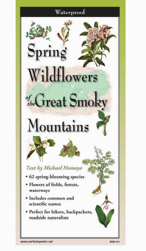 Spring Wildflowers of the Smoky Mountains