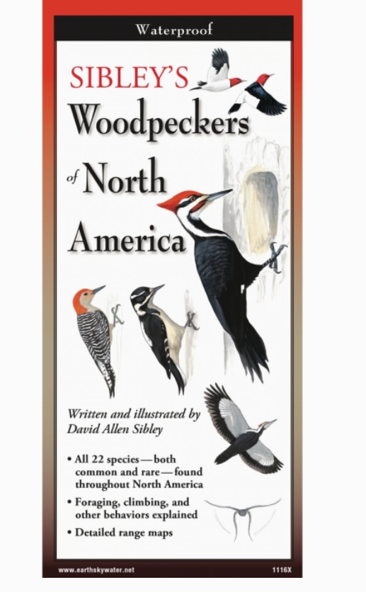 Sibley's Woodpeckers of North America